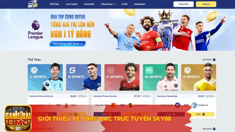 Giới thiệu về sòng bạc trực tuyến Sky88